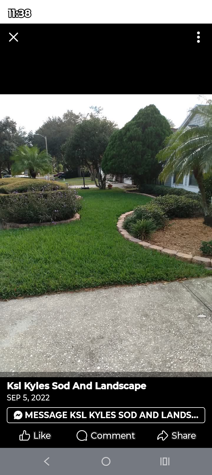 Front Yard Lawn & Landscape Makeover