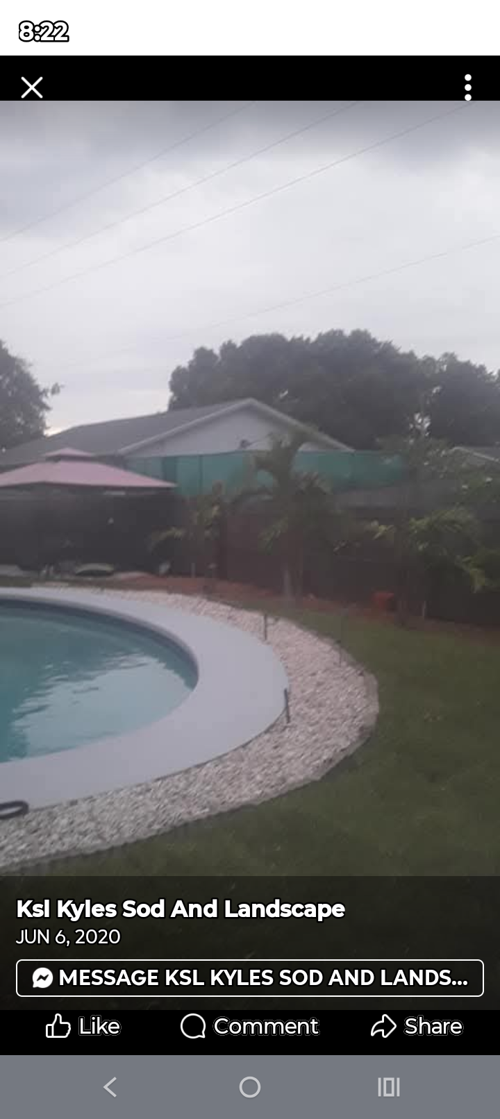 Backyard Pool Landscaping with Tropical Palms & Stone Edging