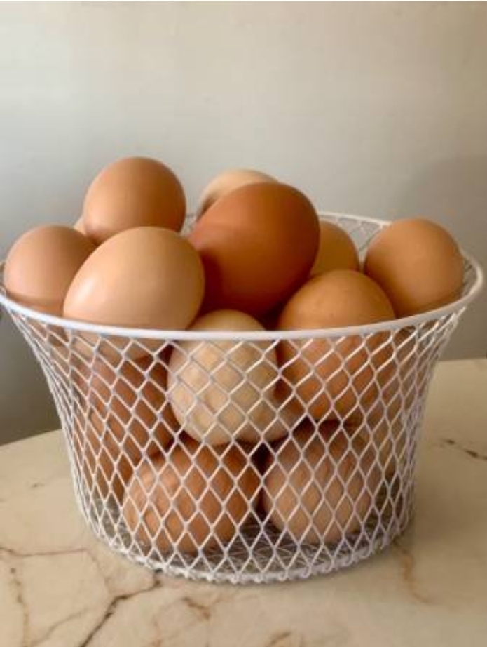 Fresh Organic Eggs from Ochii Organic Breeders