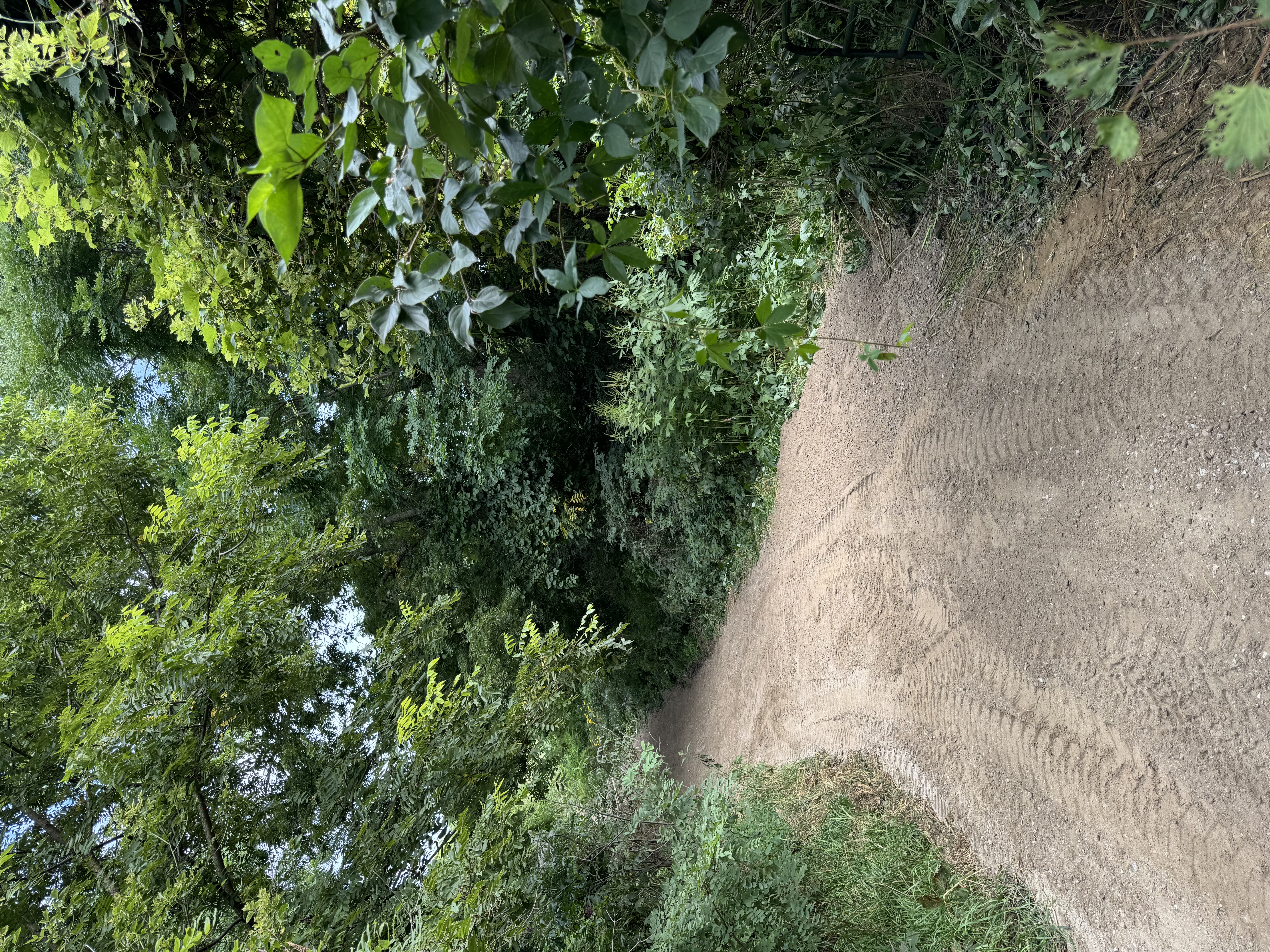 Dirt Path Land Clearing & Site Preparation