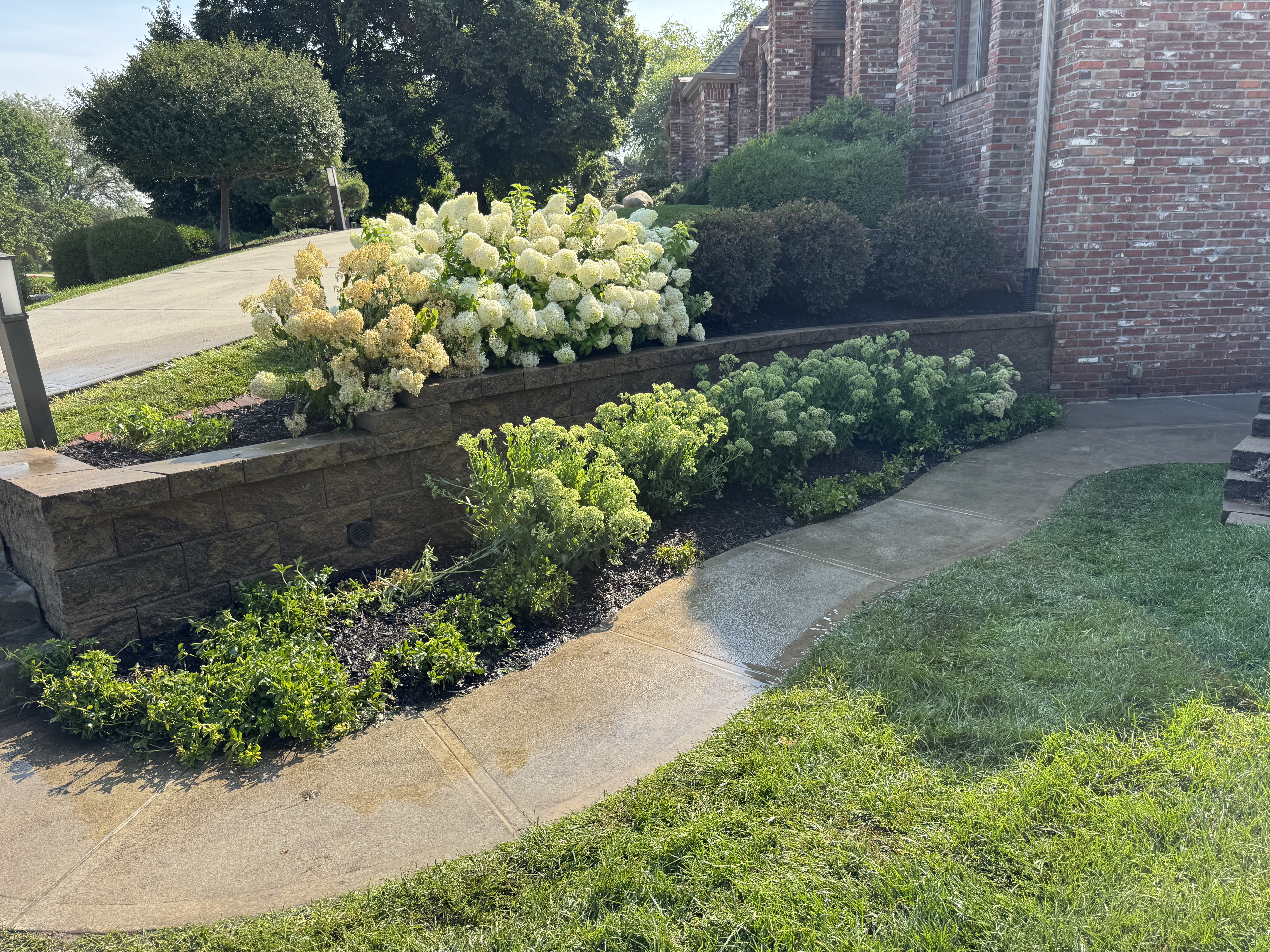 Tiered Block Retaining Wall with Hydrangea Landscape Beds