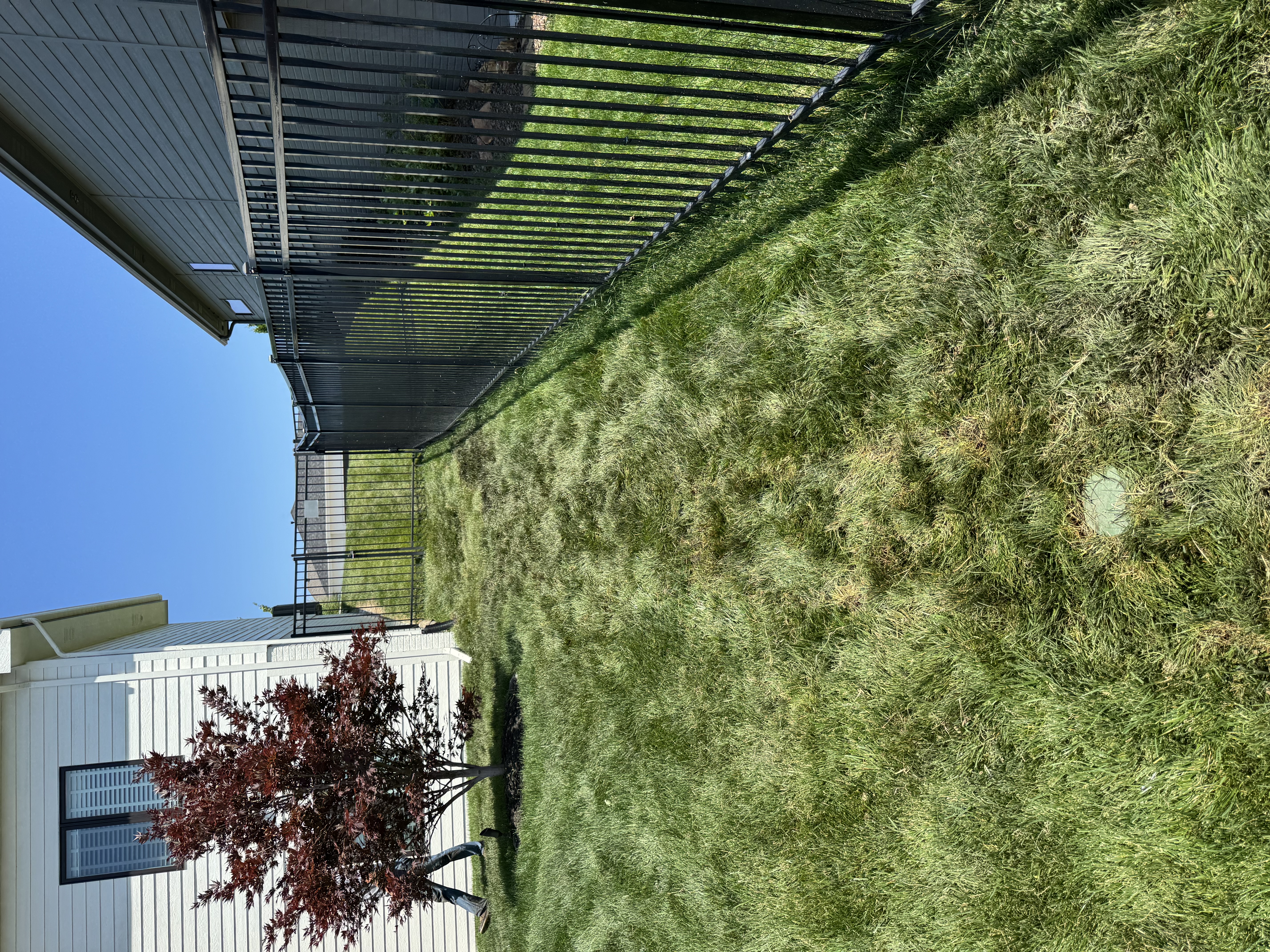Side Yard Lawn & Fence Landscaping