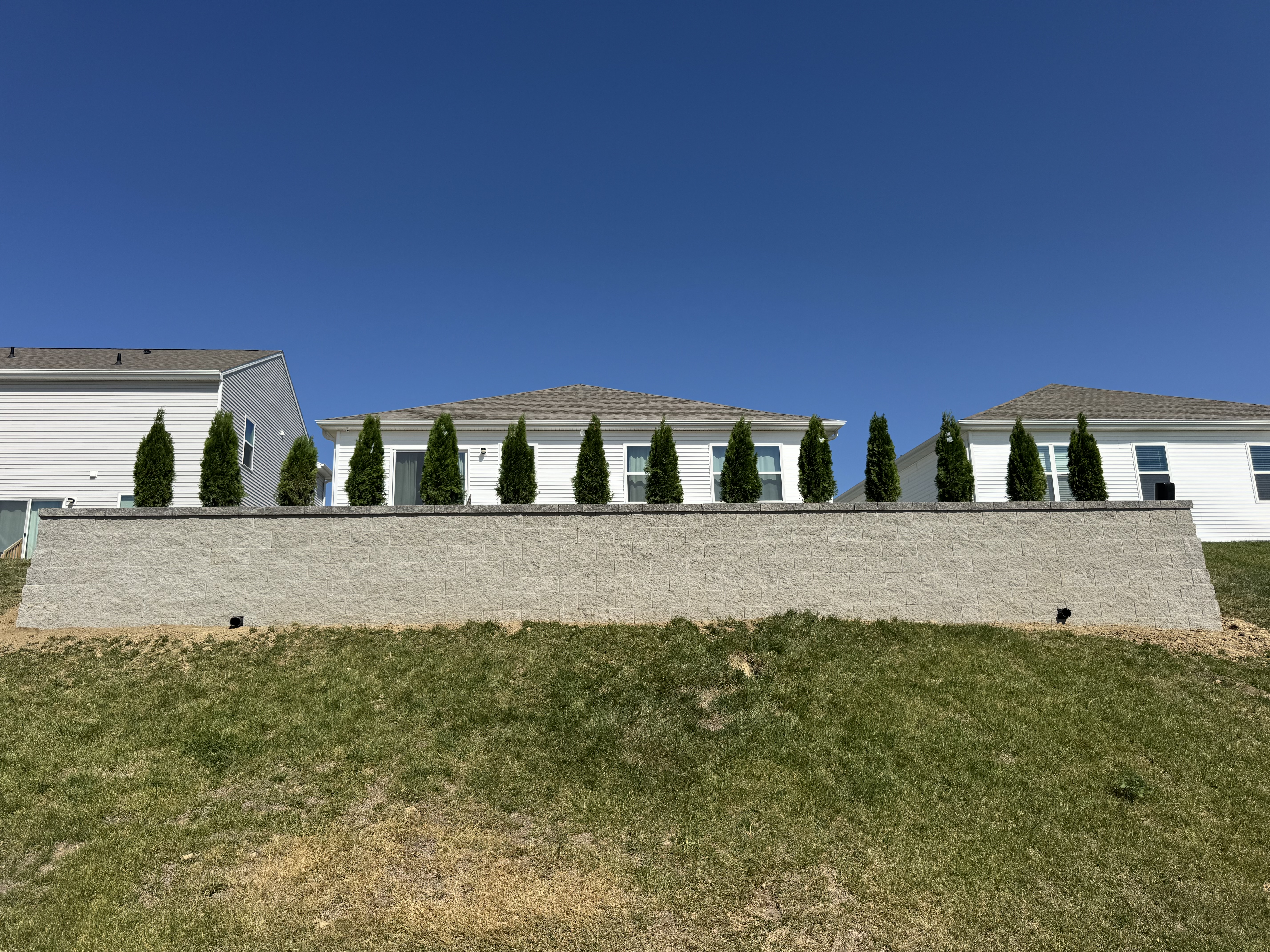 Block Retaining Wall with Arborvitae Privacy Screening