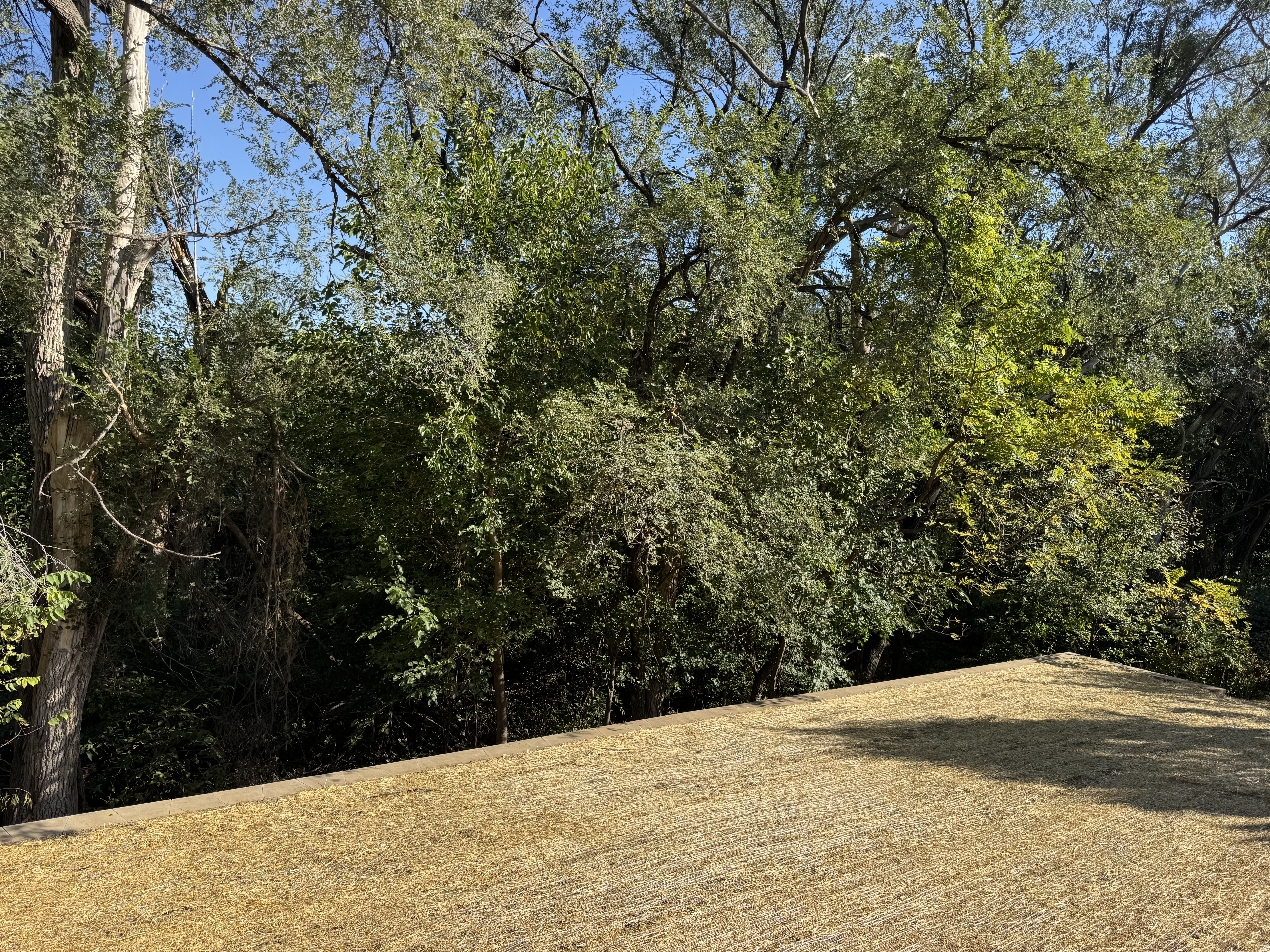 Graded Slope with Straw Erosion Control and Natural Grass Seeding