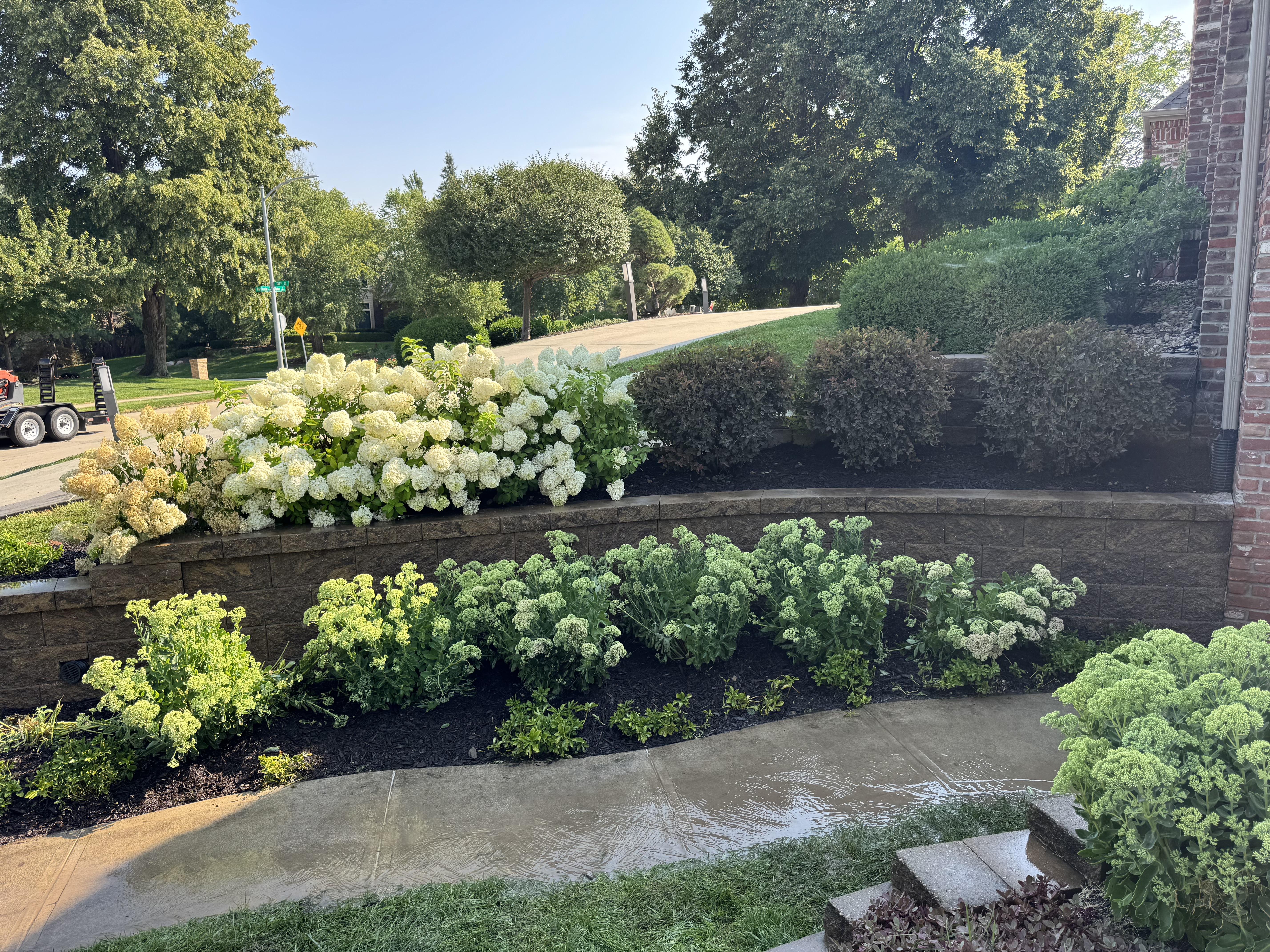 Tiered Block Retaining Wall with Hydrangea Landscape Beds