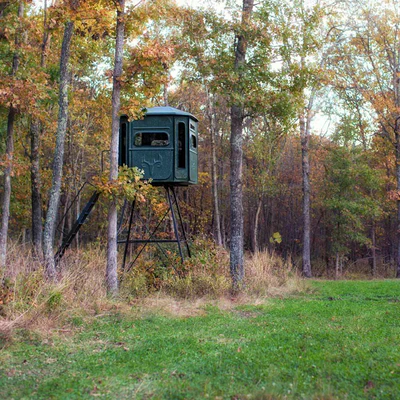 Elevated Hunting Blind in Fall Setting