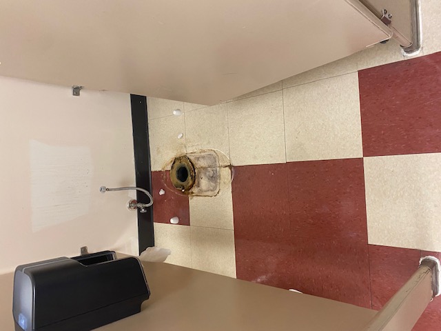 Toilet Removal & Floor Flange Assessment