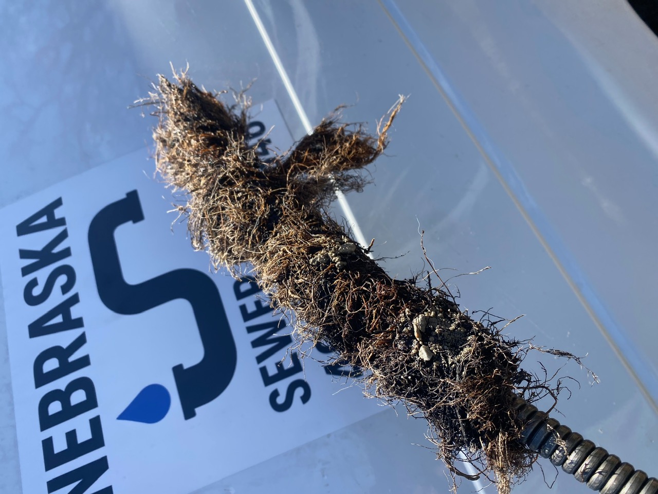 Tree Root Intrusion Removed from Sewer Line