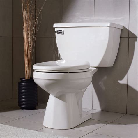 Professional Toilet Installation & Replacement