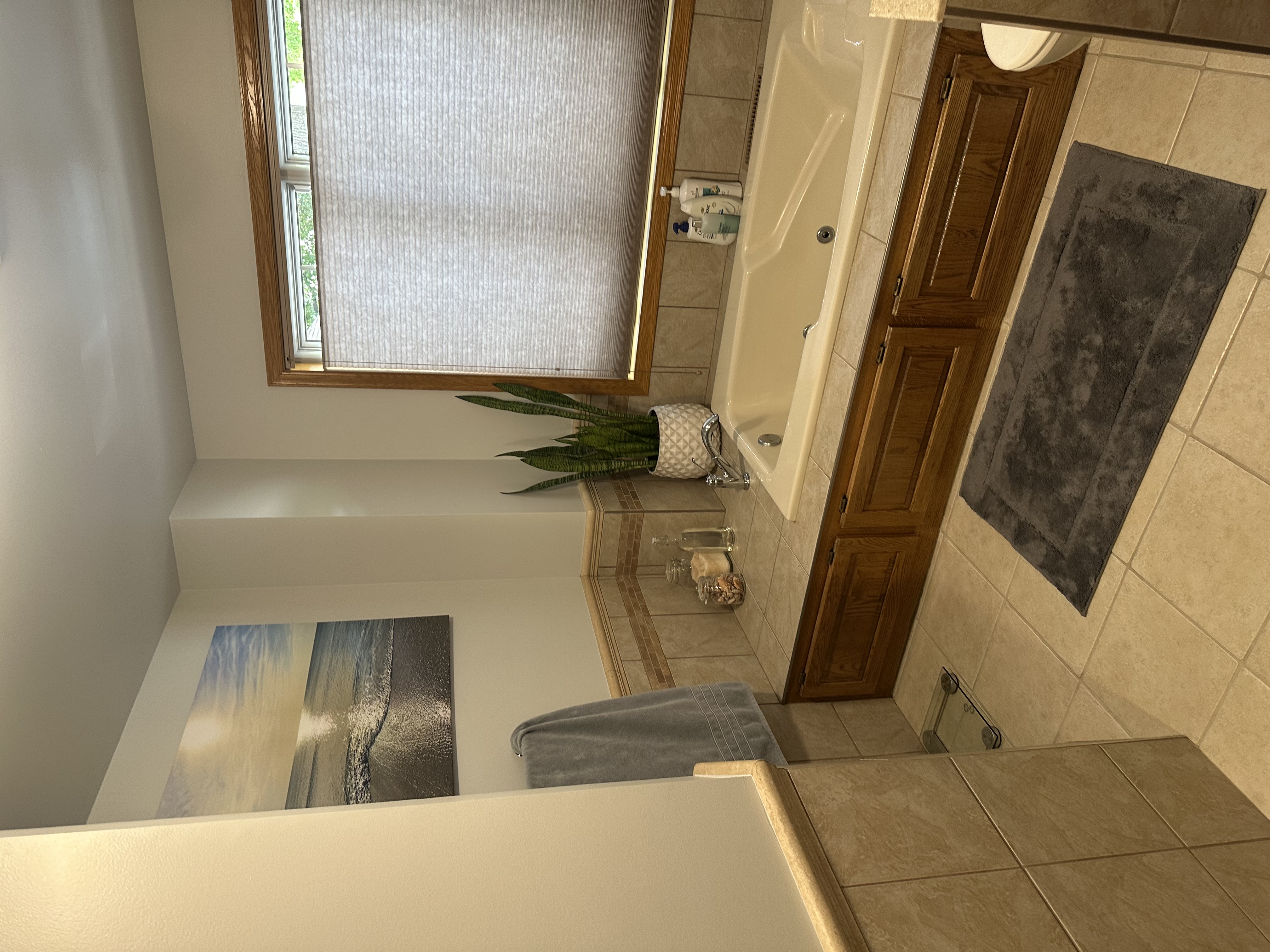 Master Bathroom Interior Painting & Finishing