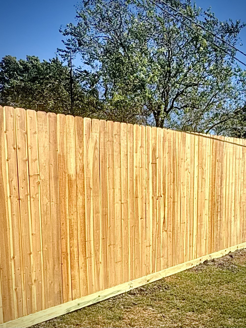 Premier Fence Co, 9' cedar wood privacy fence, Alvin, Tx. Brazoria county fences.jpg
