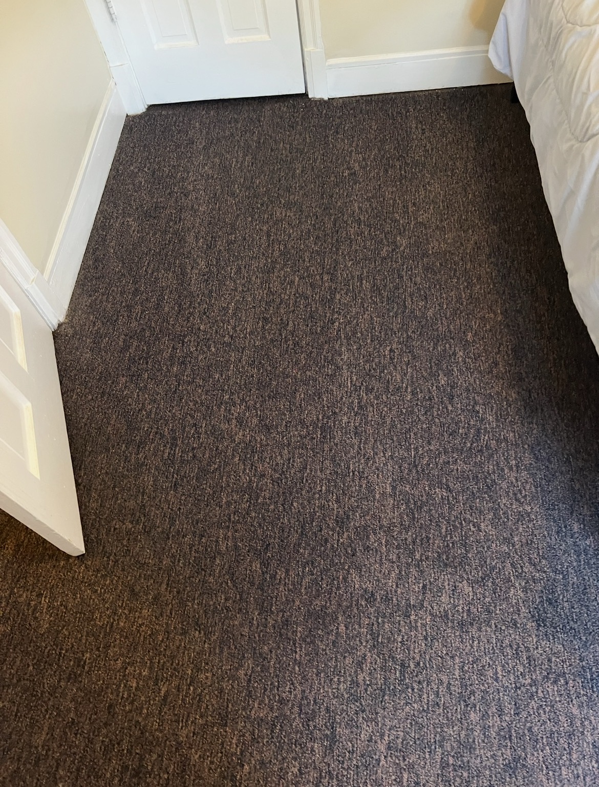 Residential Bedroom Carpet Cleaning Results