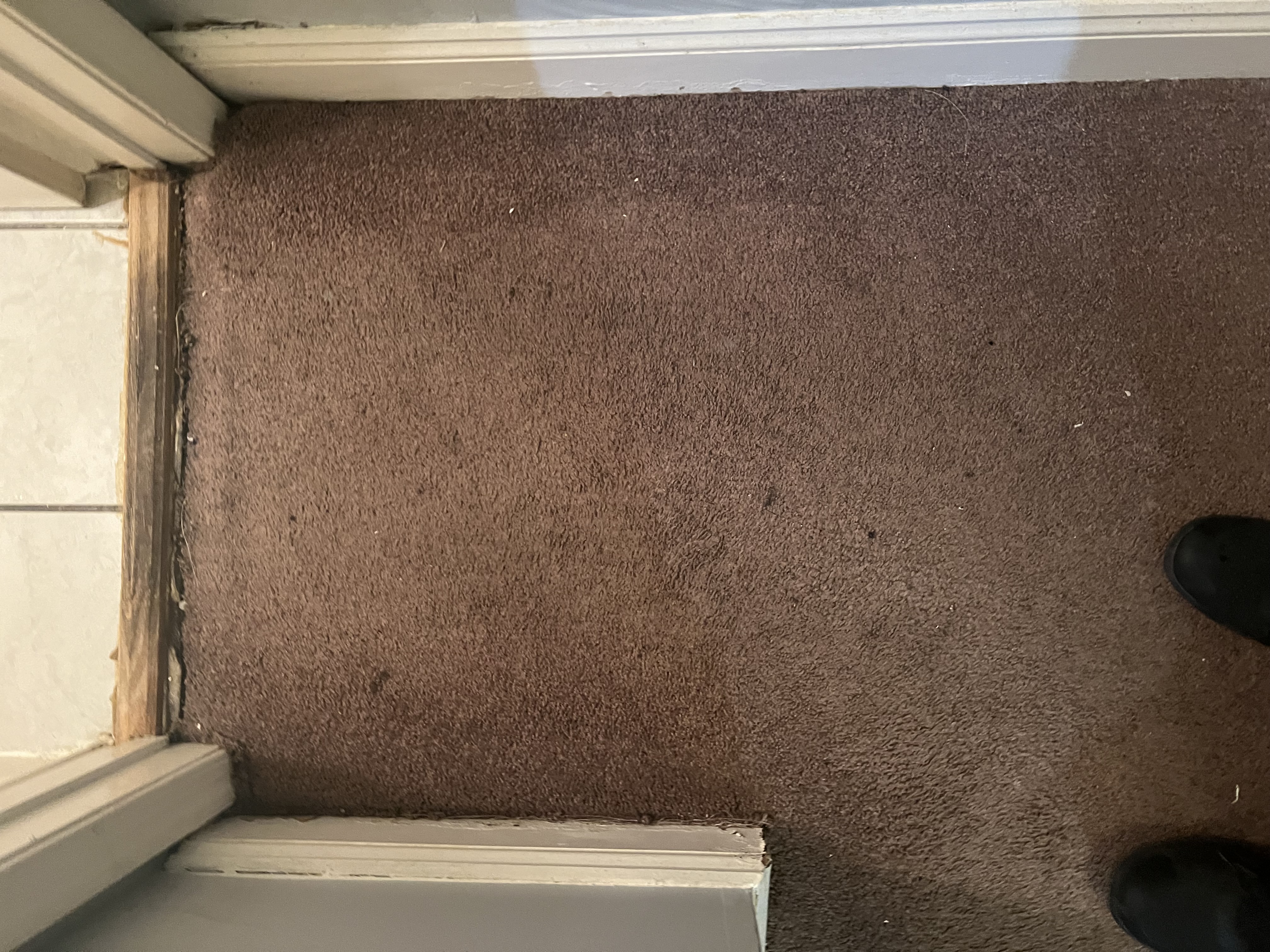 Residential Carpet Cleaning — Doorway Area