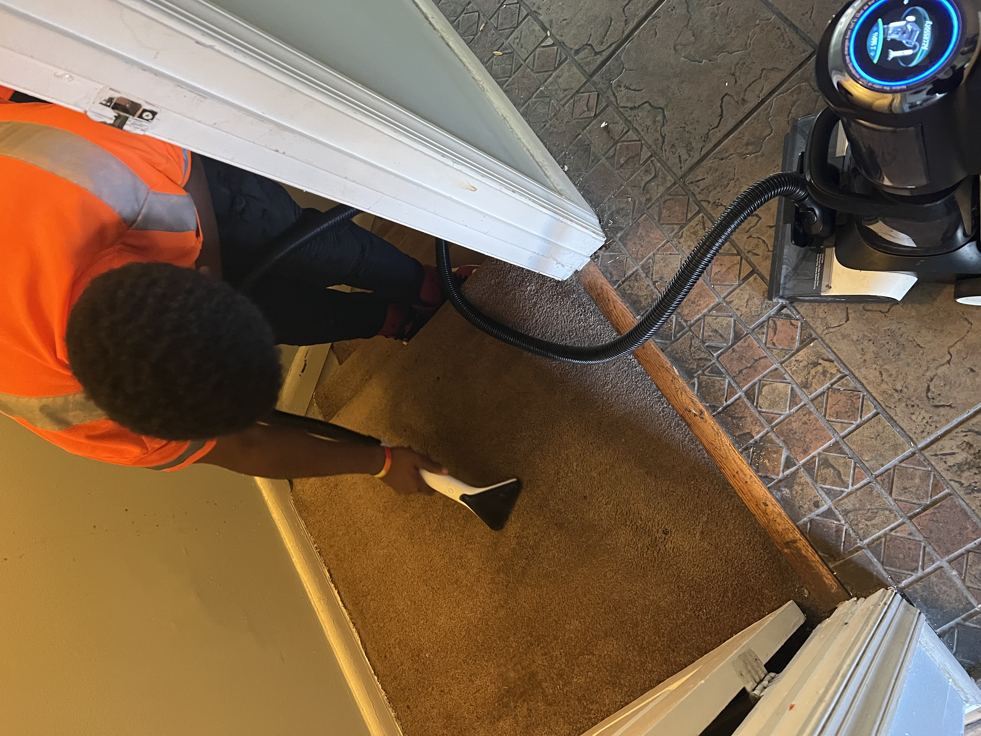 Professional Carpet Steam Cleaning – Baseboard Edge Detail