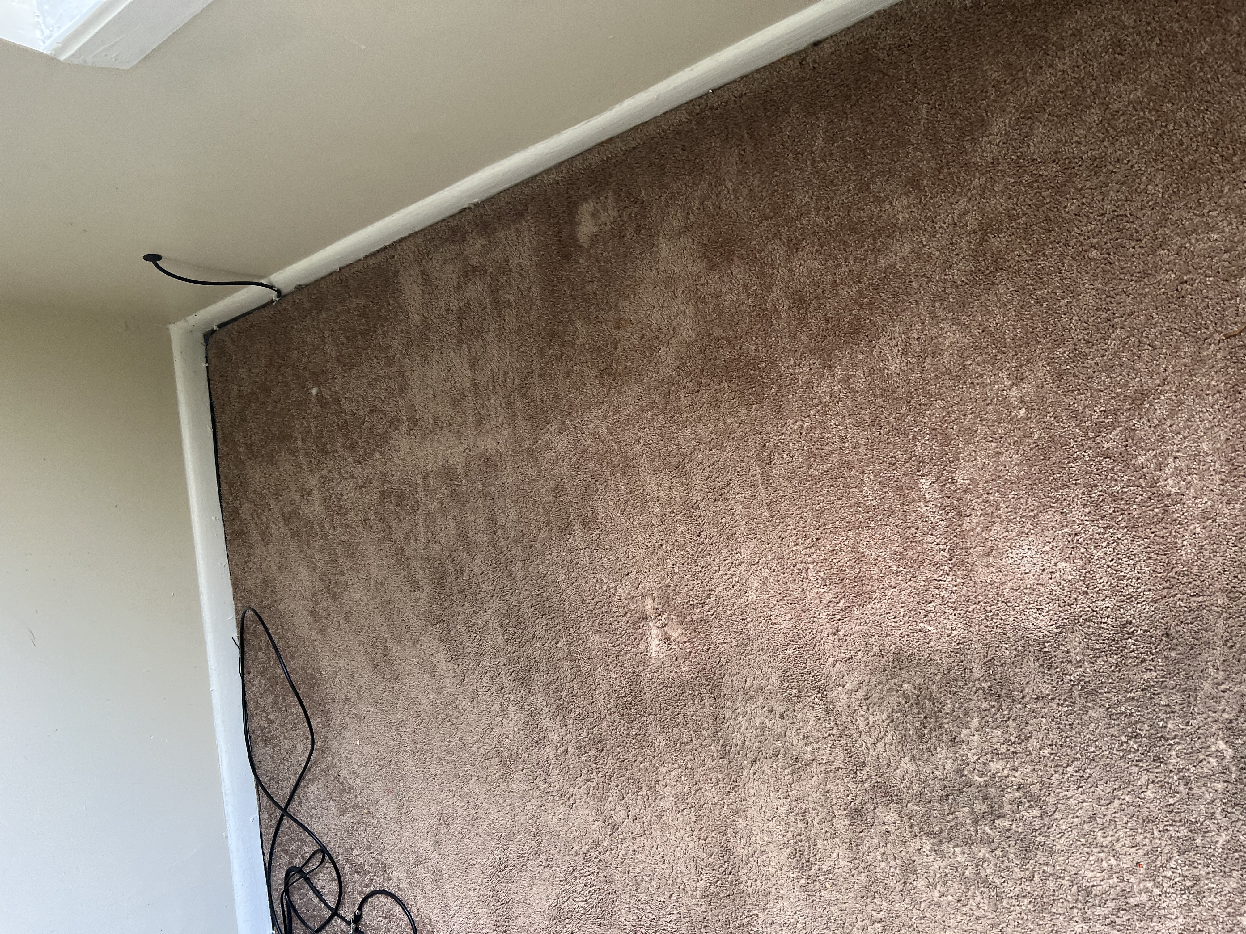 Stained Residential Carpet Before Professional Cleaning