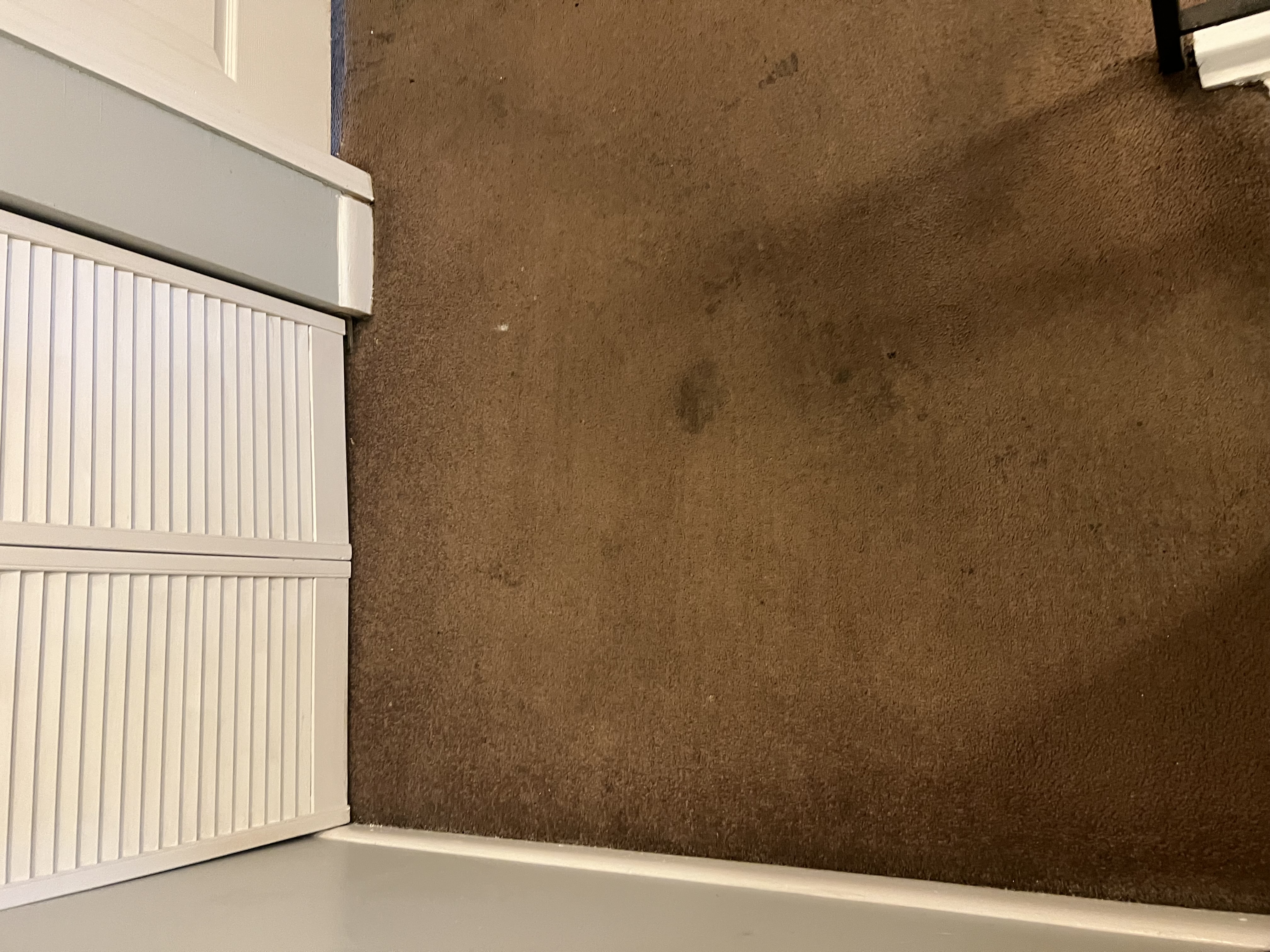 Stained Residential Carpet – Before Professional Cleaning