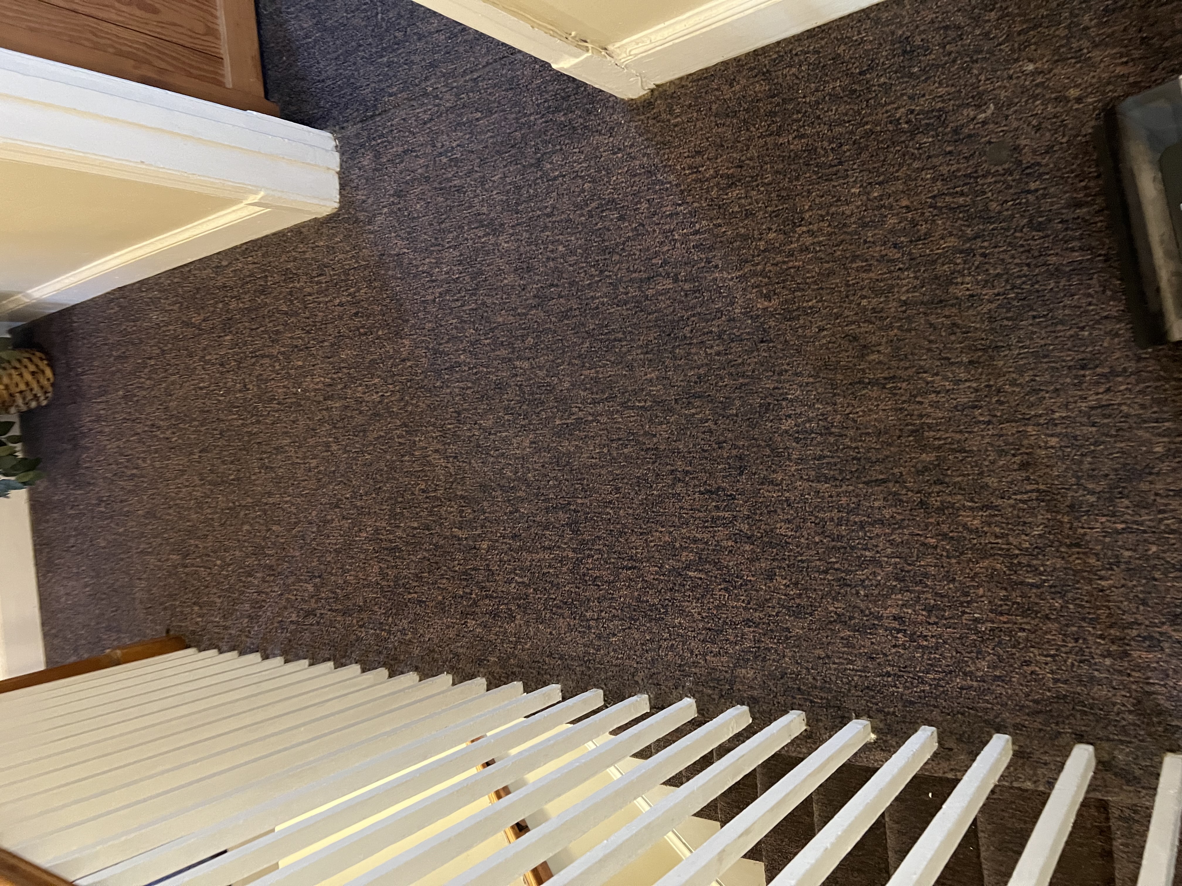 Hallway & Staircase Carpet Cleaning Results